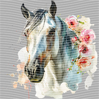 Animal Integration-DW 400